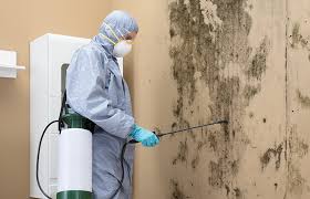 Best Emergency Mold Remediation  in Warm Springs, OR